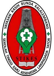 Logo STIKES Lakipadada