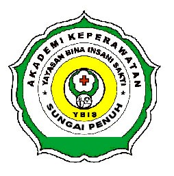 Logo Akademi Keperawatan Bina Insani Sakti