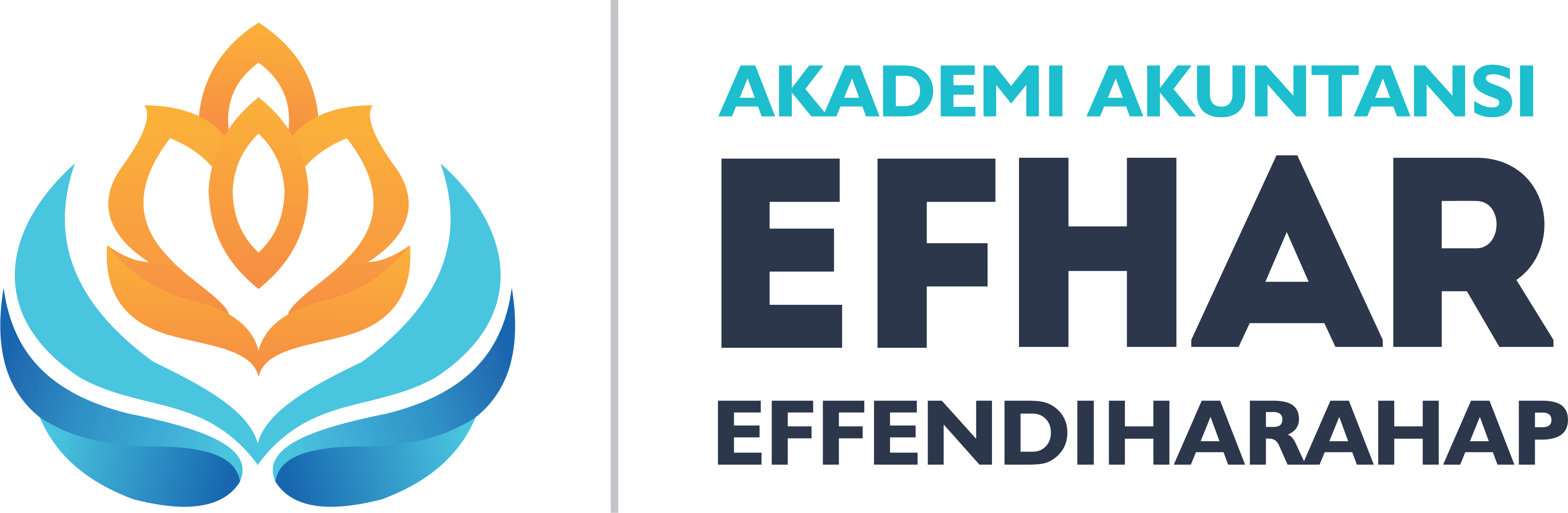 Logo Akademi Akuntansi Effendi Harahap