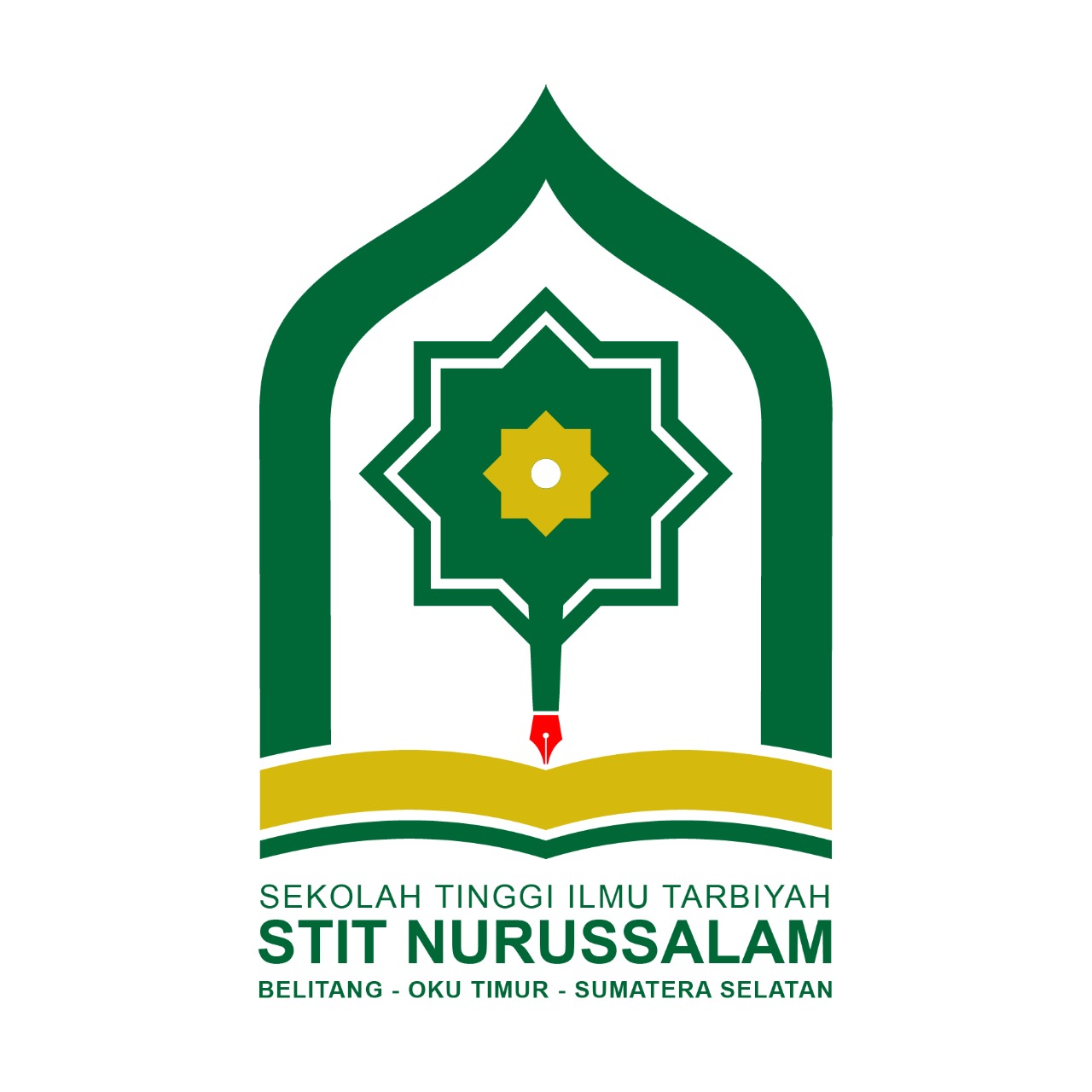 Logo Sekolah Tinggi Ilmu Tarbiyah Nurussalam