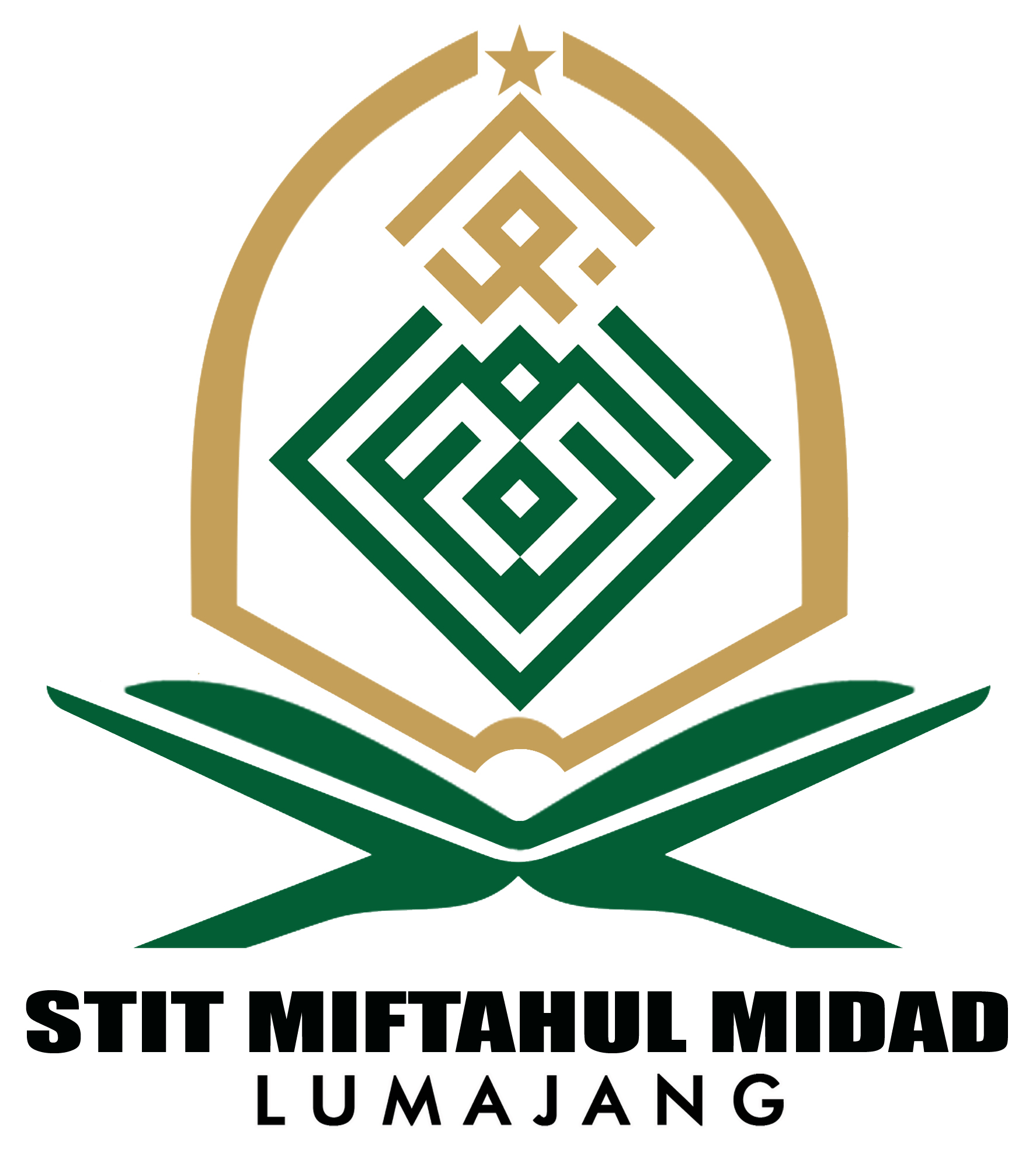 Logo Sekolah Tinggi Ilmu Tarbiyah Miftahul Midad Lumajang